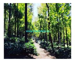 8 acre land for sale in Mullayyanagiri road