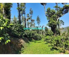 30 acre coffee estate for sale in Mudigere