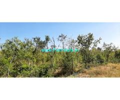 1 Acre 19 Gunta Sandal Wood Trees Farm Land for Sale Kolar Bethmangala Road
