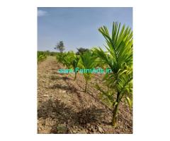 8 acre agriculture land for sale near Hiriyur