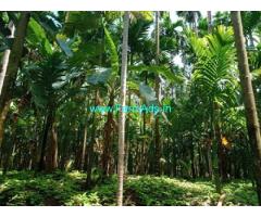 13 Acres Agri land with for Sale in Peruvai