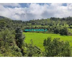 2 acre Agriculture land for sale in Mudigere,Devaramane view point