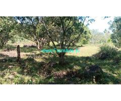 17 Acres Fully developed agriculture land near Dharmapuri