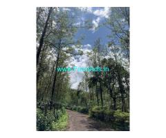 4 acres coffee estate for Sale near Chikmagalur