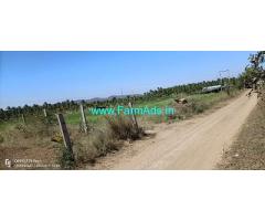 4.32 Acres Areca semi plantation for sale Near Sira town