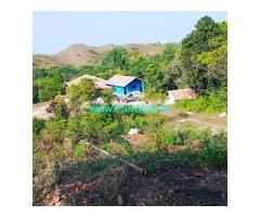 10 acre Farm land with home stay for sale in Mudigere near Yethinabhuja