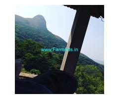 10 acre Farm land with home stay for sale in Mudigere near Yethinabhuja