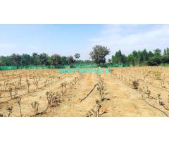 13 Guntas Land for Sale near Nandhi Hills