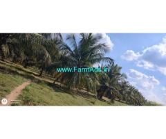 8.14 Acres young coconut Plantation for sale between Sira And Hiriyur
