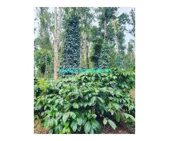 50 acre coffee plantation for sale in Mudigere