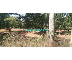 1.5 Acres Fully developed agriculture land for Sale at Thally