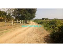 13.5 Acres Farm Land for Sale 50 kms from Mysore