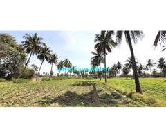 8 Acres Coconut Farm For Sale Byrakuru, Punganur Main Road