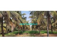 6 acre 35 gunta Coconut Farm land for Sale near Hiriyur