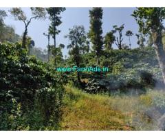 10 acre coffee land for sale in Mudigere