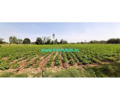 9 Acre 9 Gunta Multi Crop Farm Land for Sale near Byrakur