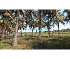 1 acre Coconut Farm Land for Sale near Mysore