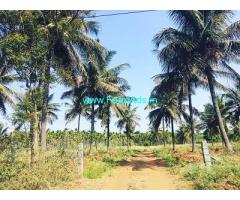 1 Acre Well Maintained Coffee Estate for sale in Madikeri