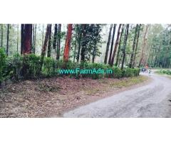 5 acre 10 gunta coffee plantation for sale in Chikmagalur
