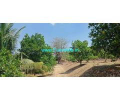 Pollachi to Govindhapuram 4 acre mango , coconut Farm land for sale