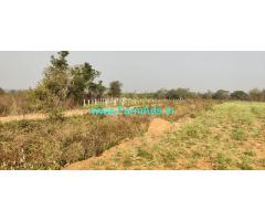 20 gunta agriculture property for Sale near Mysore