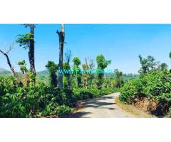 28 acre well maintained coffee plantation for sale in Sakleshpur
