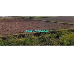 1.55 Acre Punjai Agriculture Land in Thellar