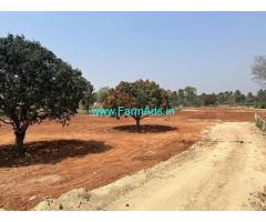 3 Acres 16 guntas fully developed agriculture land Sale near Maralawadi