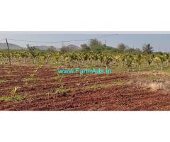 8 acre agriculture land for Sale near Hiriyur