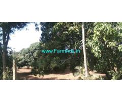 1.5 Acres Fully developed agriculture land Sale near Thally