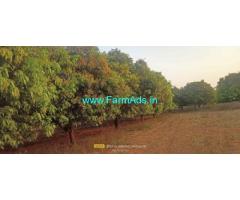 2 Acre Mango Garden For sale 73 Km From Hyderabad