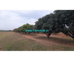 27 Acre Mango farm for sale 19kms from Gubbi