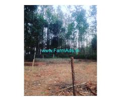 10 Gunta land for sale in Chikmagalur