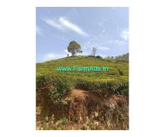 1 Acre Extent Tea Garden For Sale 9 Km Away From Coonoor Town