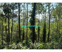 15 acre plantation for sale near Mallandur