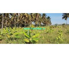 4.5 acres coconut farm for sale 50kms from Mysore