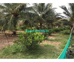 4 Acres Farm Land for Sale 30 kms from Mysore Gaddige Road