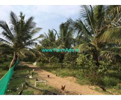 4 Acres Farm Land for Sale 30 kms from Mysore Gaddige Road