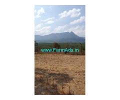 3 Acres agriculture Land for Sale near Chikmagalur