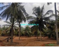 Tirupur, Arulpuram area 1 acre coconut farm sale