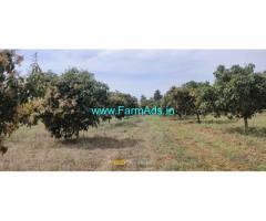 5 acre Mango Farm Land for Sale near Srinivaspura