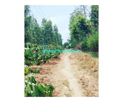 30 acre well maintained plantation for sale in Hassan