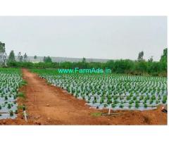3 Acre's Agriculture land For Sale near Chikkaballapur