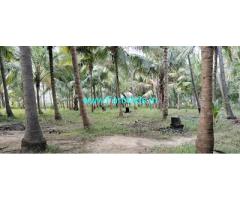 2.20 Acres Coconut Farm for Sale Nearby Sholavanthan