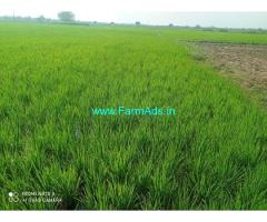 5 acres 23 gunta land for sale in Minpur village