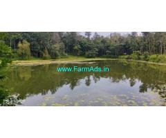 101 acre well maintained coffee estate for sale in Belur