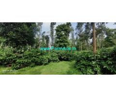 101 acre well maintained coffee estate for sale in Belur
