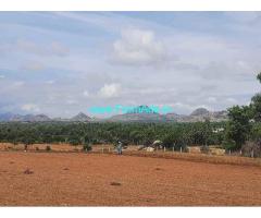 6 Acres Agriculture Land For Sale near Koratagere