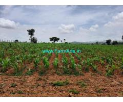 6 Acres Agriculture Land For Sale near Koratagere