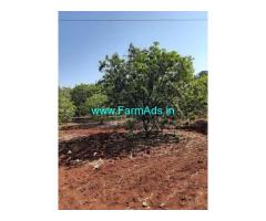 13 Acre's Mango Garden for Sale at Khanapur village